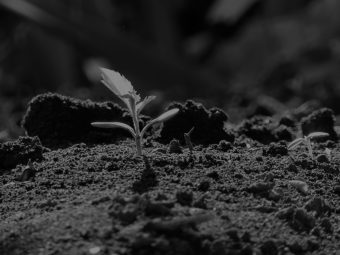 Le mystère des game-changing conversations